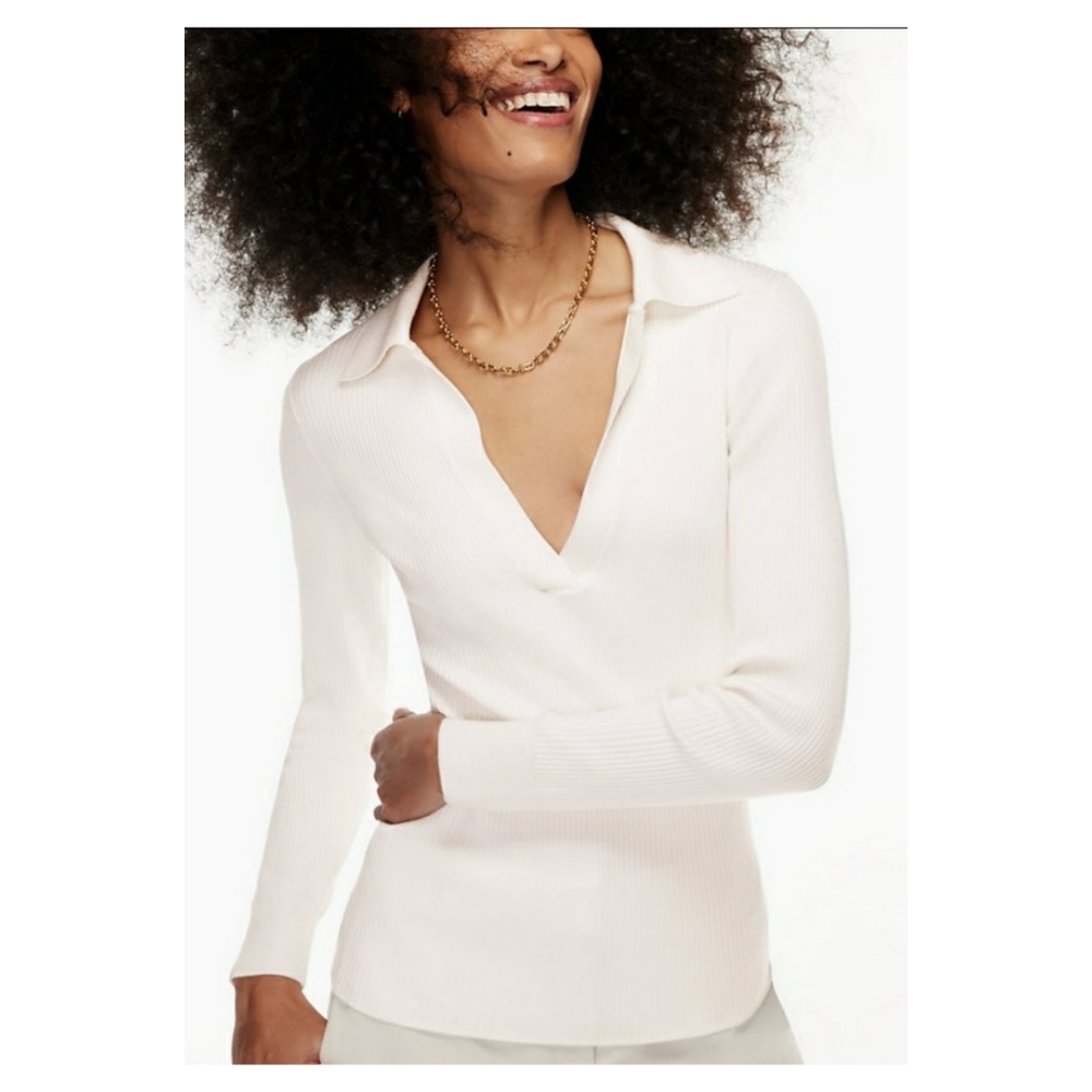 Aritzia Babaton Mcsweeney V Neck Ribbed Polo Sweater - Picture 1 of 7